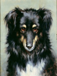Een Zwart en Tan Collie, 1890